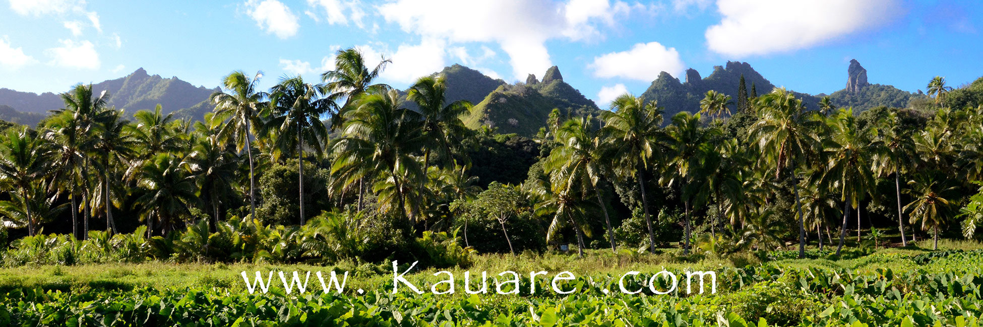 Kauare Bach Lodge accommodation in the tropical gardens in Rarotonga, Cook Islands