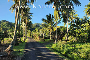 kauare road with the accommodation on the right